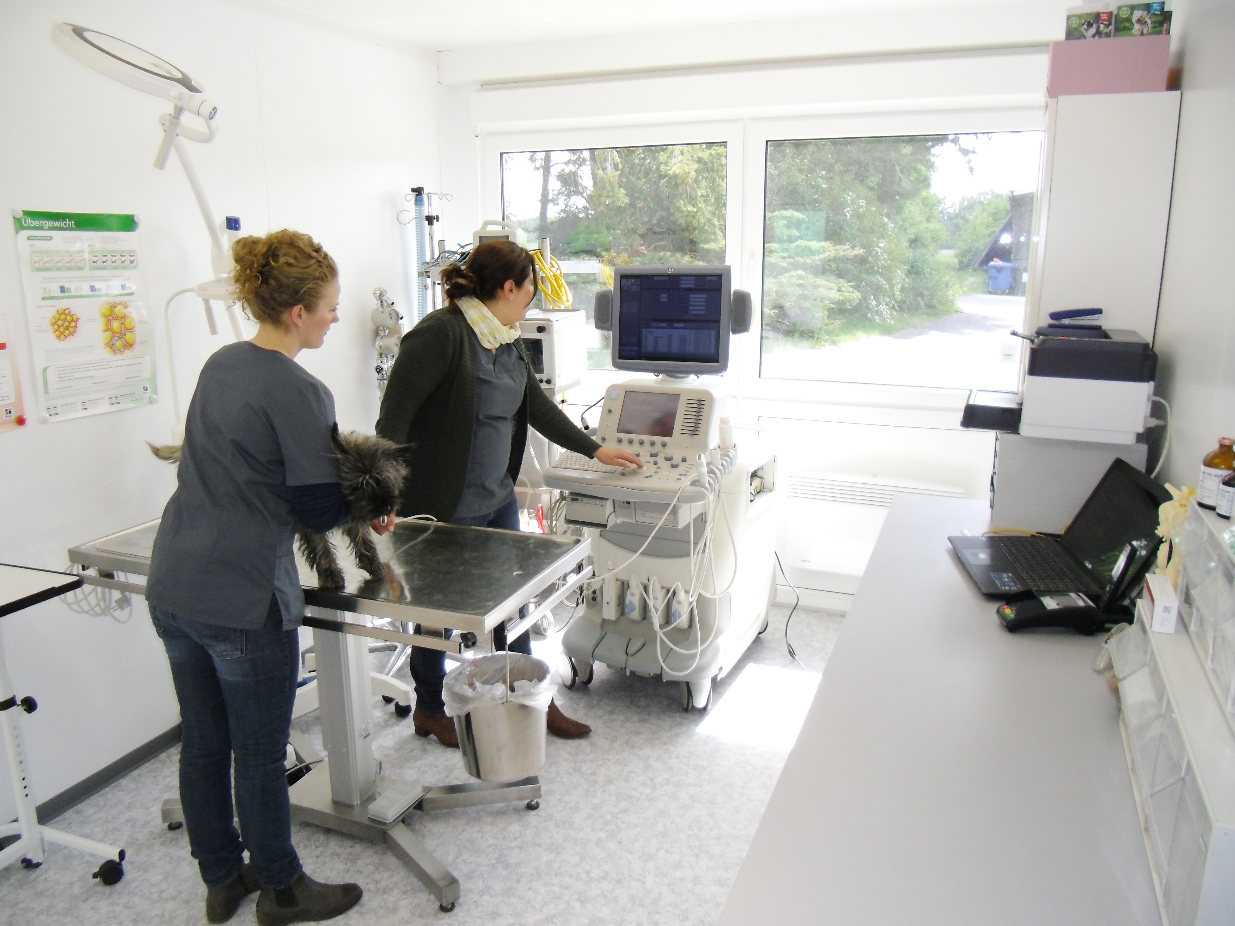 ELA Container - Behandlungsraum für Tierarztpraxis