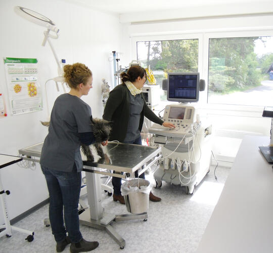 ELA Container - behandlingsrum til dyrlægeklinikker