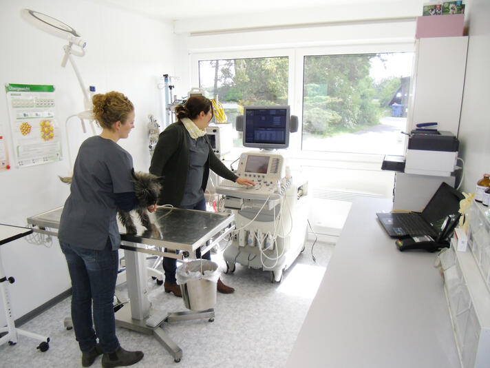 ELA Container - Container als mobile Tierarztpraxis