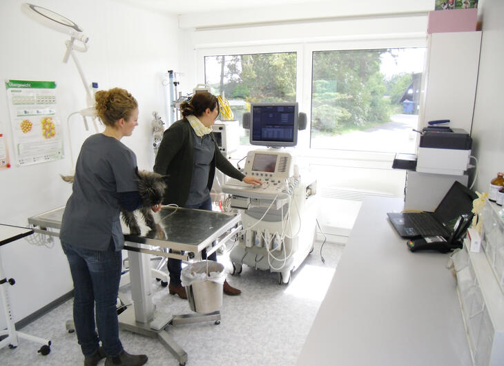 ELA Container - Container als mobile Tierarztpraxis