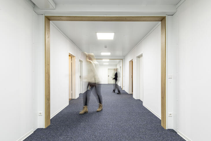 Inredd korridor med matta och designade träelement